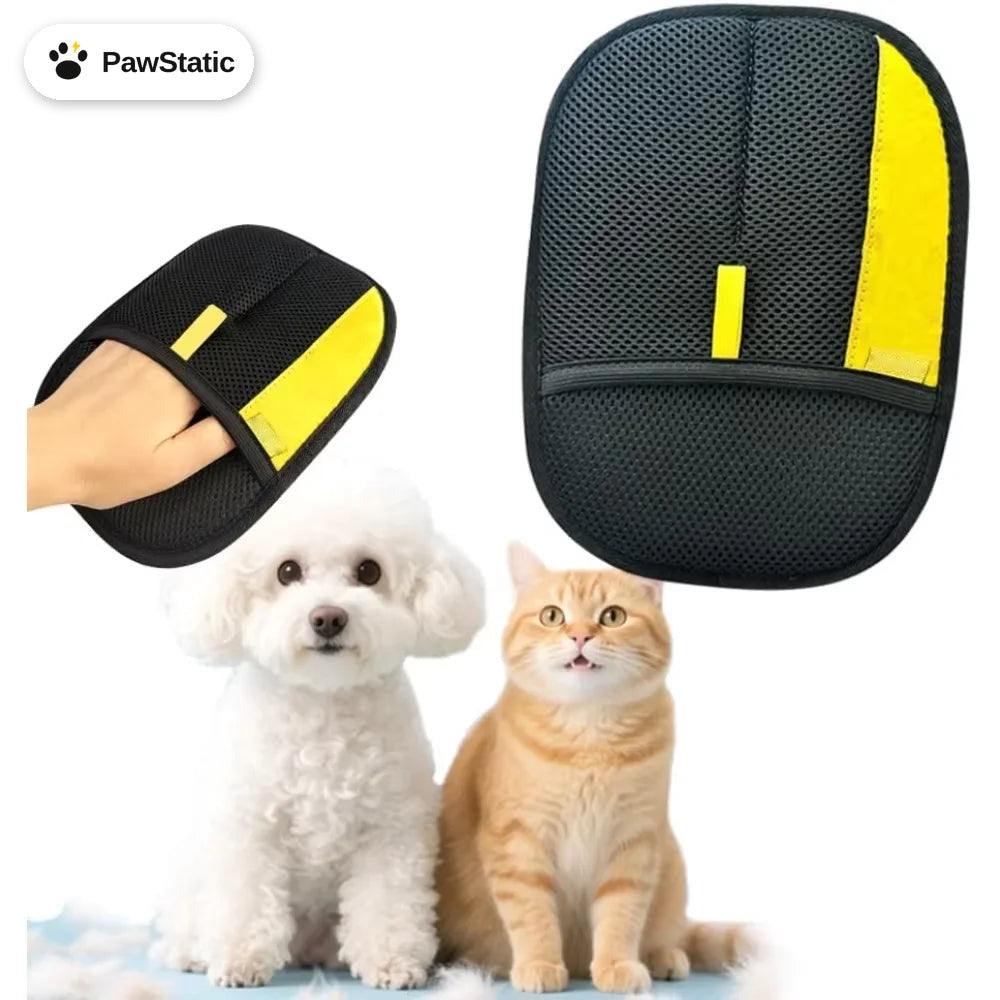 A dog and a cat with a pet hair remover mitt
