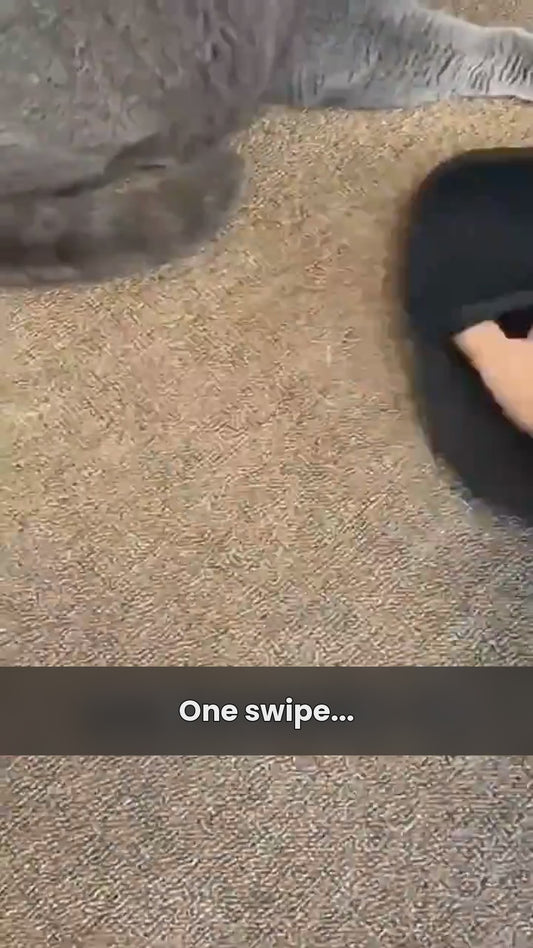 PawStatic mitt video: lifting pet hair off sofas, clothes and bedding, reusable with no refills